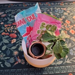 Miniverse Make It Mini Lifestyle Fiddle Leaf Fig Plant Series 1